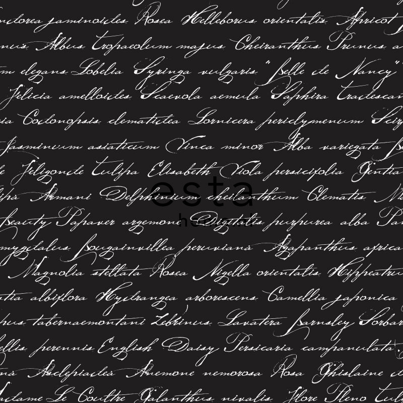 ESTA Ginger Tapetti handwritten latin flower names musta 53 cm x 10,05 m Non-woven