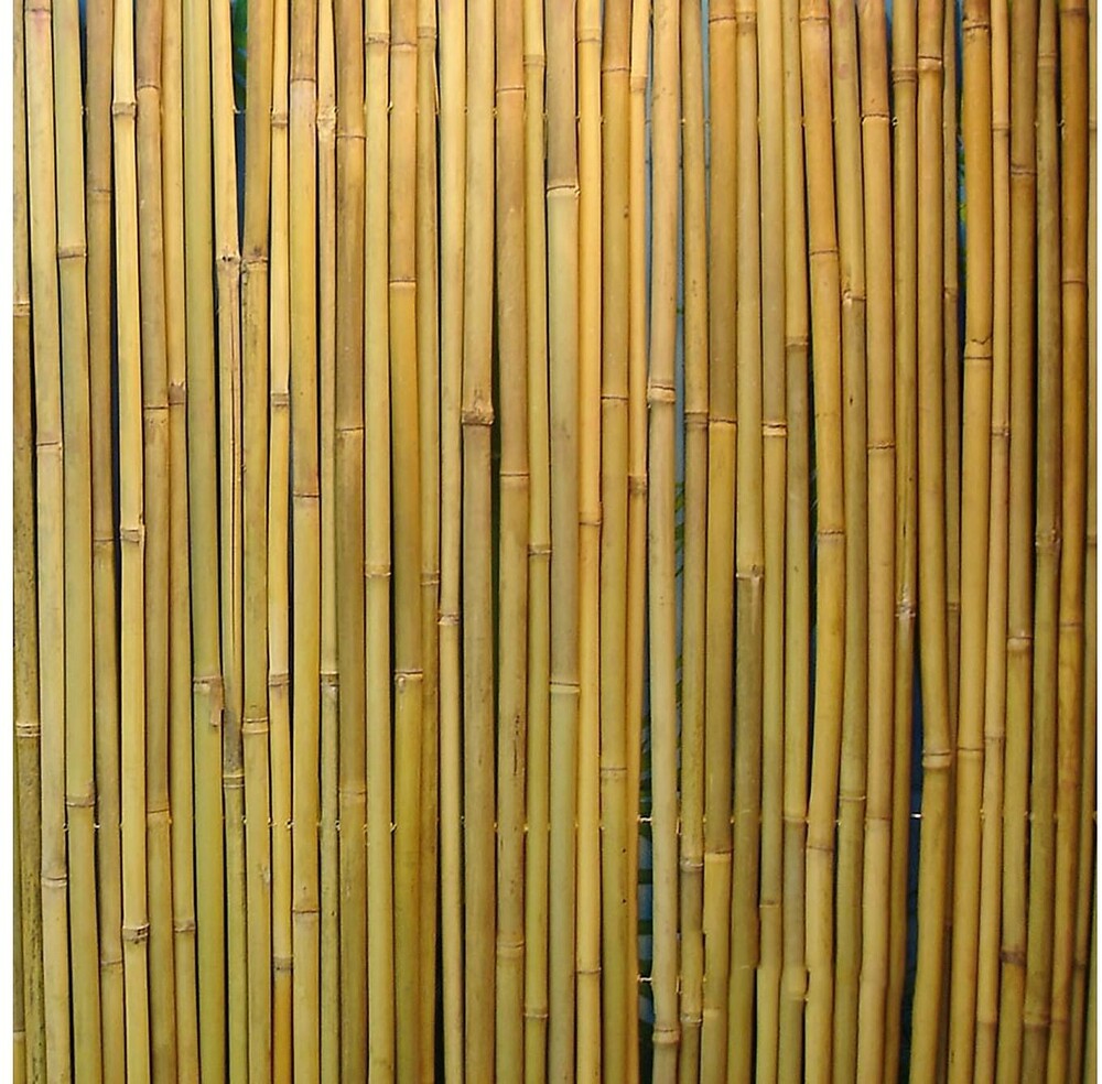 Home4you Bambuaita In Garden 150x300cm