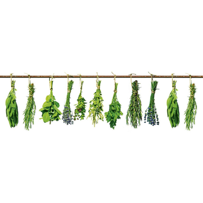 Tapetit.fi Välitilatarra Dimex Herbs, 180-350x60cm