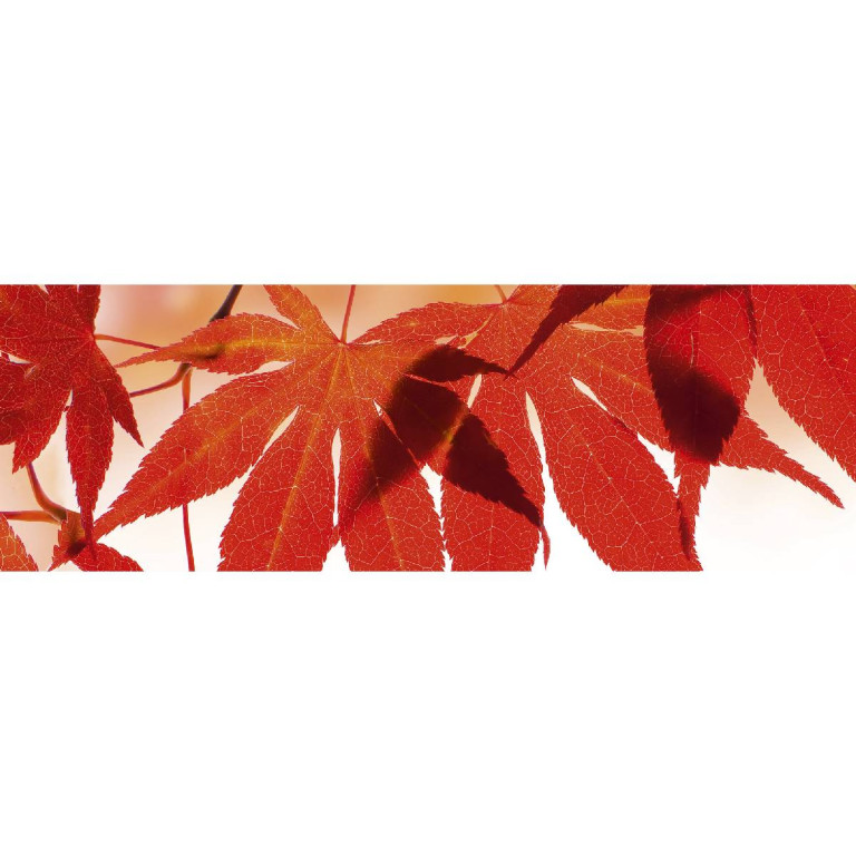 Tapetit.fi Välitilatarra Dimex Red Leaves, 180-350x60cm
