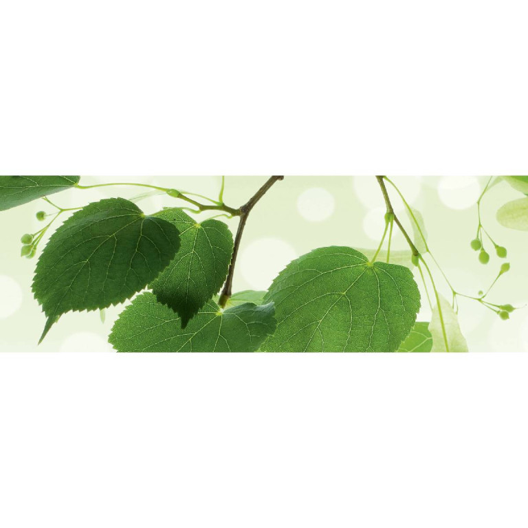 Tapetit.fi Välitilatarra Dimex Green Leaves, 180-350x60cm