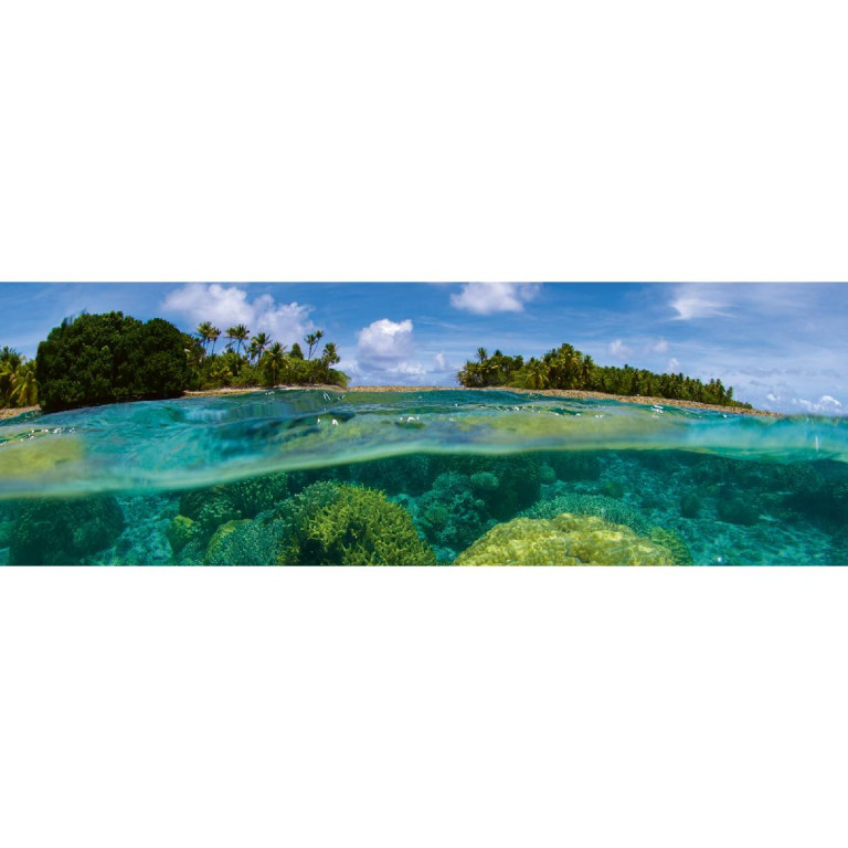 Tapetit.fi Välitilatarra Dimex Coral Reef, 180-350x60cm