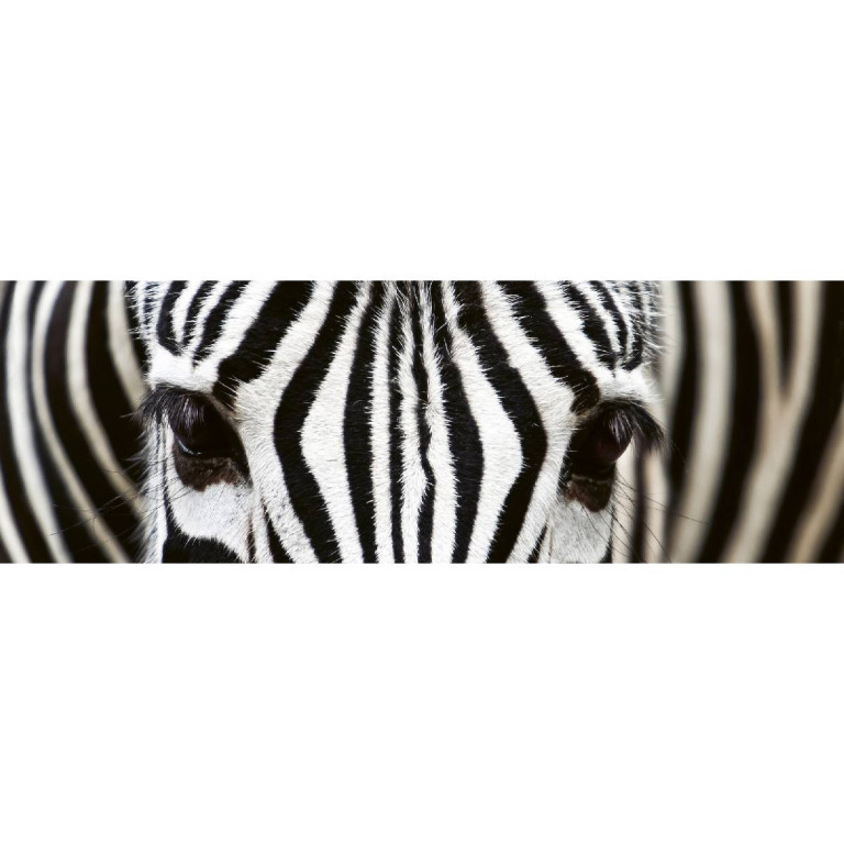Tapetit.fi Välitilatarra Dimex Zebra, 180-350x60cm