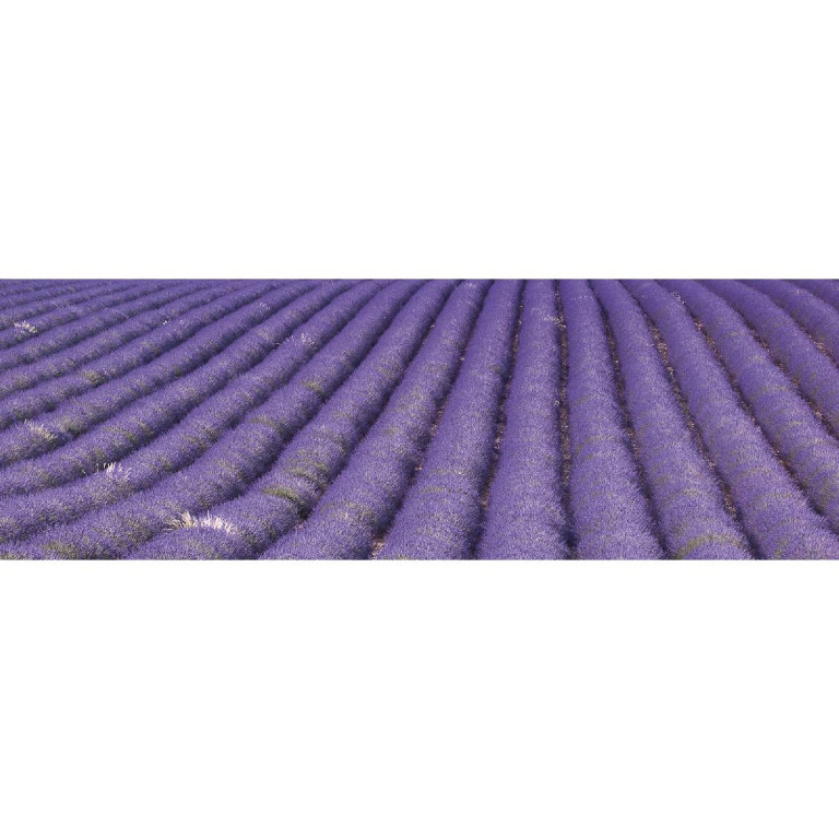 Tapetit.fi Välitilatarra Dimex Lavender Field, 180-350x60cm