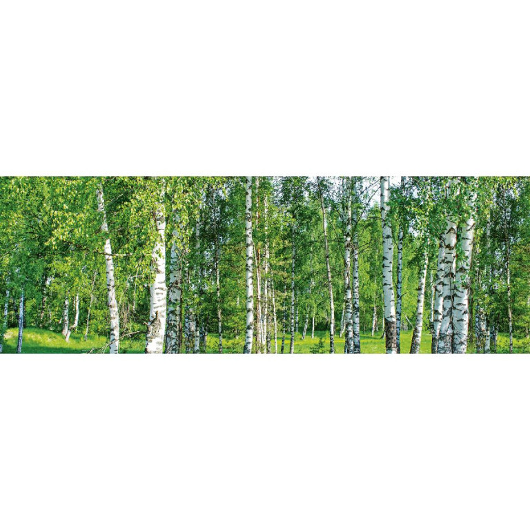 Tapetit.fi Välitilatarra Dimex Birch Grow, 180-350x60cm