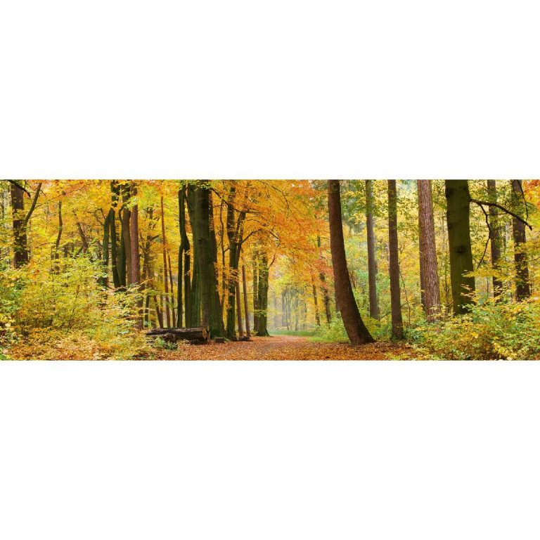 Tapetit.fi Välitilatarra Dimex Autumn Forest, 180-350x60cm