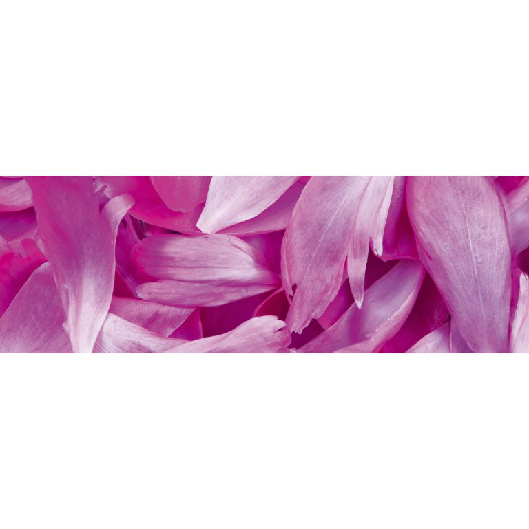 Tapetit.fi Välitilatarra Dimex Violet Petals, 180-350x60cm