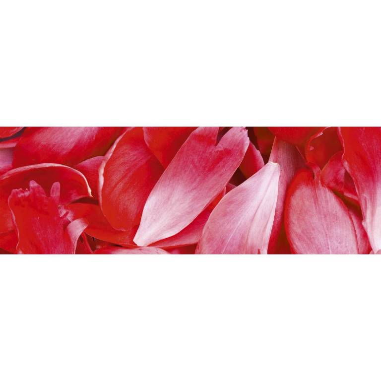 Tapetit.fi Välitilatarra Dimex Red Petals, 180-350x60cm