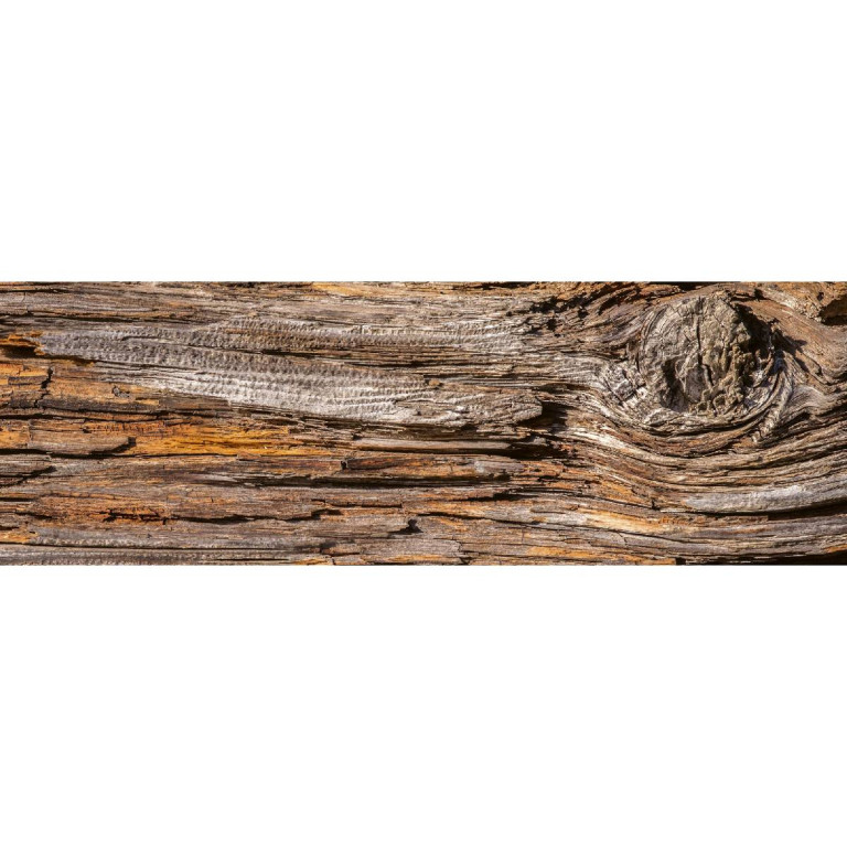 Tapetit.fi Välitilatarra Dimex Tree Bark, 180-350x60cm