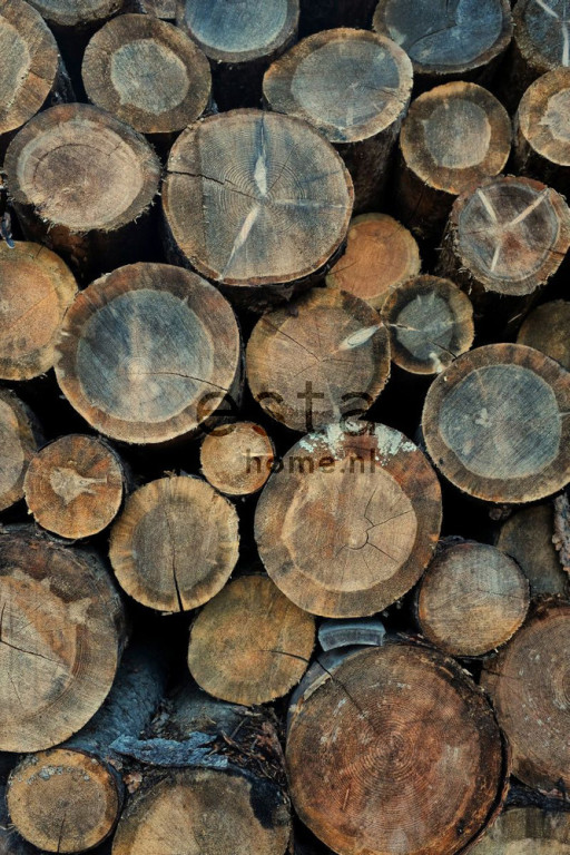 ESTA Vintage rules! Paneelitapetti PhotoWallXL wood logs tummanruskea 186 cm x 279 cm