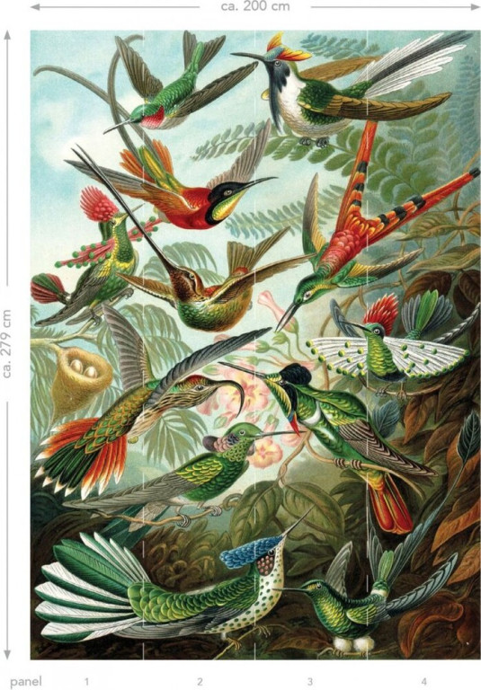 Esta Paradise Kuvatapetti XL Birds Tropical Jungle Green, 2x2,79m