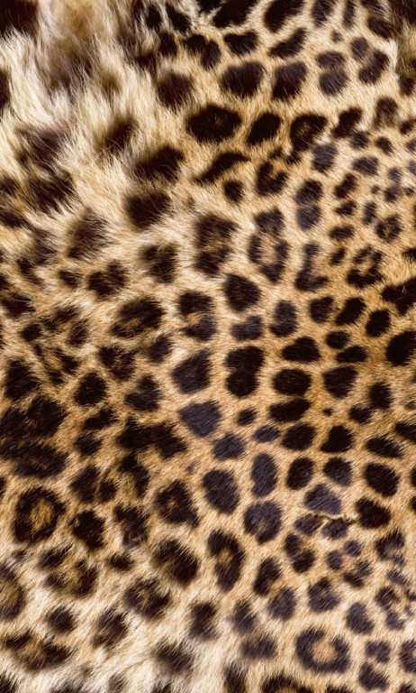Dimex Kuvatapetti Leopard Skin 150x250cm